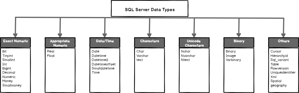 انواع Data Type در SQL Server - مشاوره و آموزش دیتابیس SQL Server